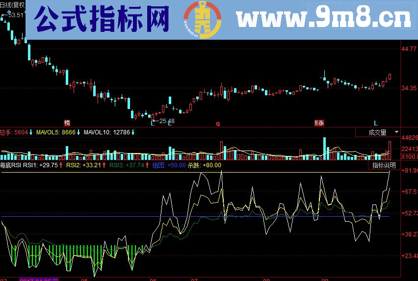 同花顺海底RSI副图源码