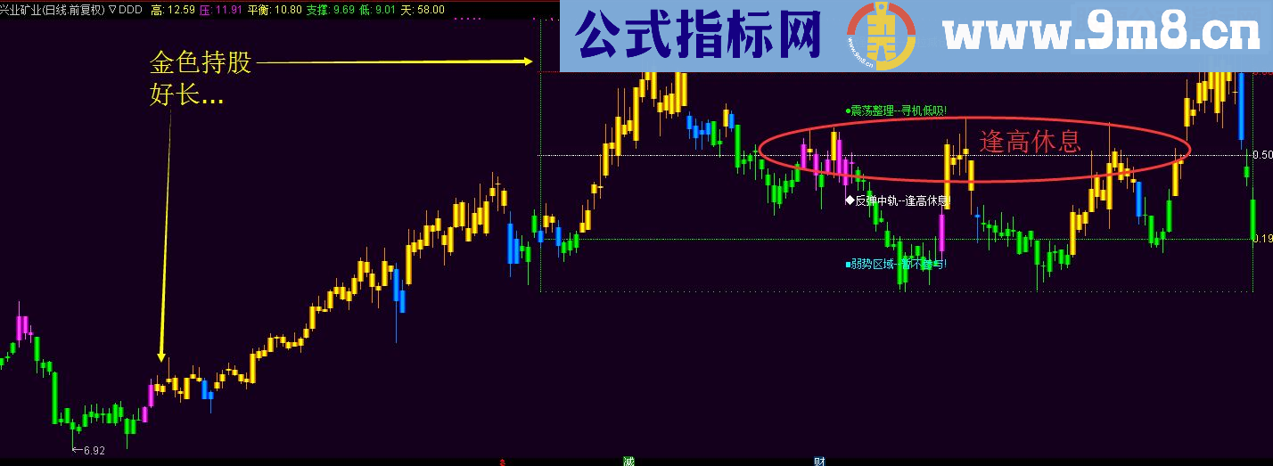 通达信一目了然（反弹/持股/洗盘/持币）源码副图