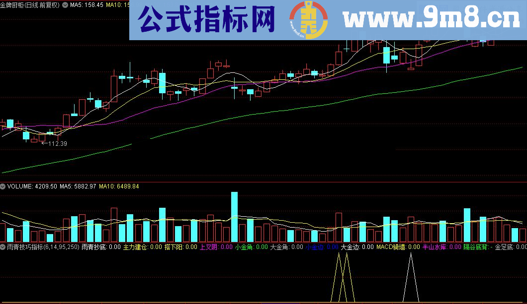 通达信雨青技巧公式源码贴图