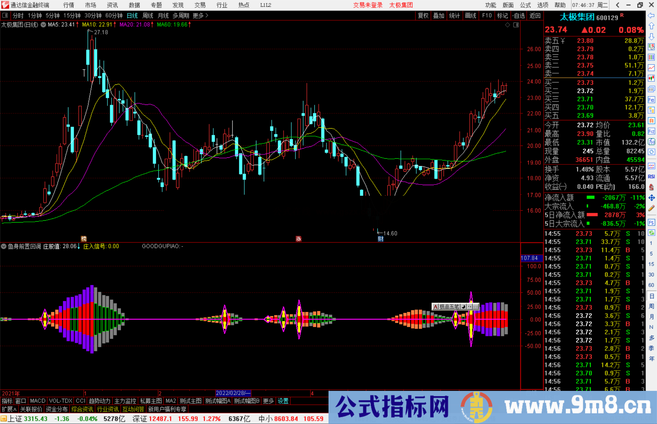 通达信鱼身前置回调副图指标公式副图源码