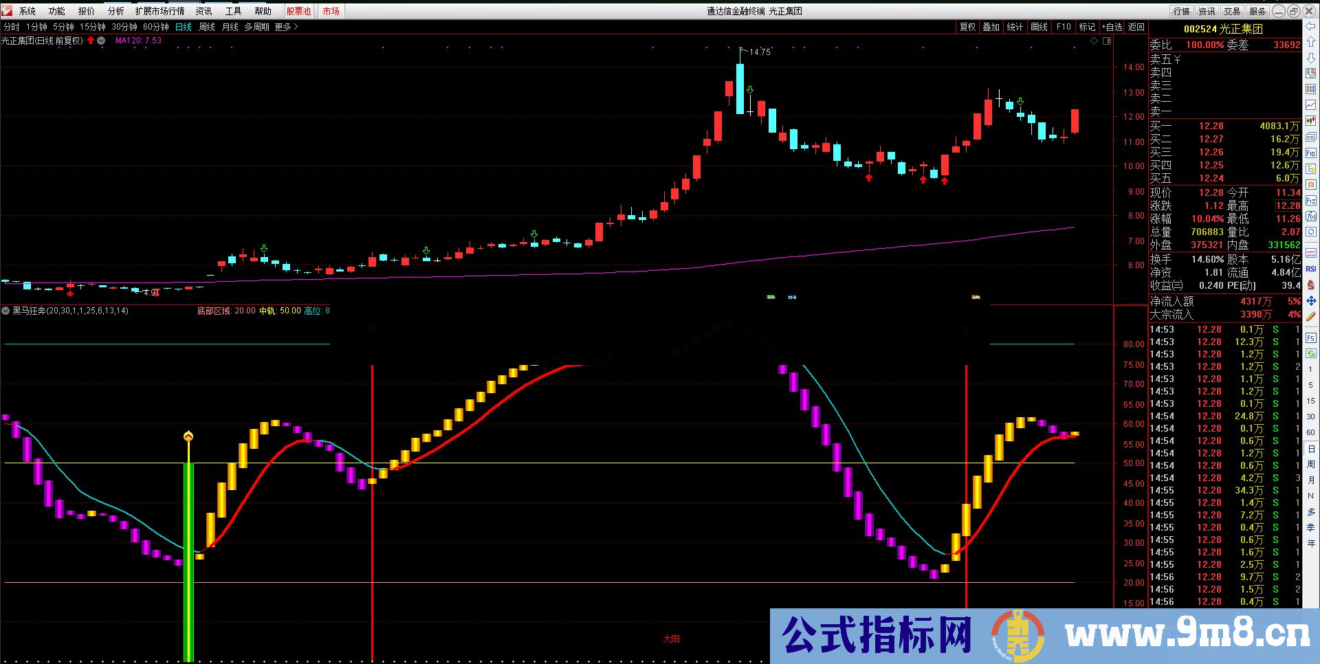 通达信黑马狂奔公式副图源码 测试图无加密