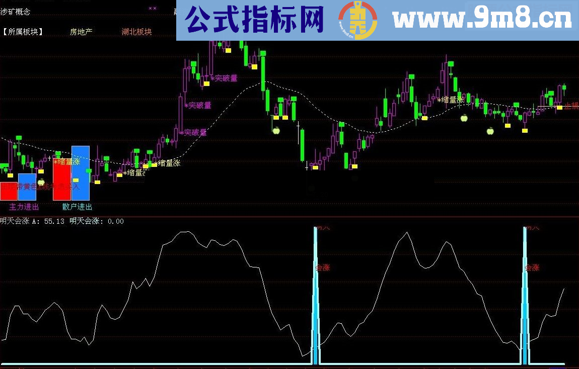 通达信 明天会涨源码附图