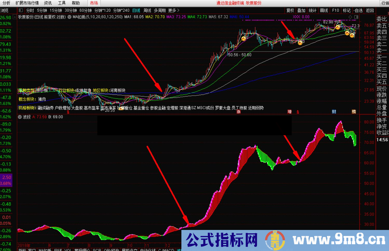 通达信波段王公式副图源码测试图抓住大波段期货股票双赢