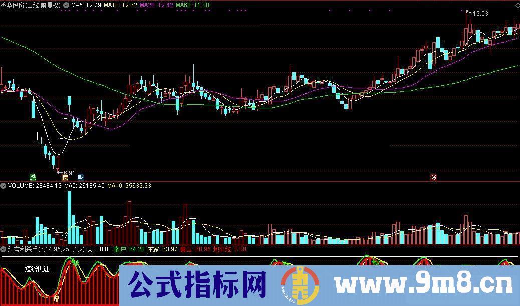 通达信红宝利杀手源码附图