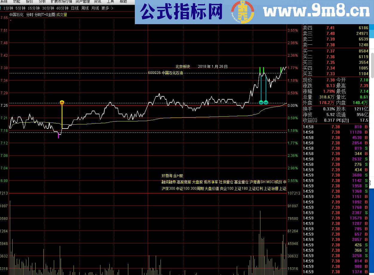 通达信分时T+0做T神器指标分时主图