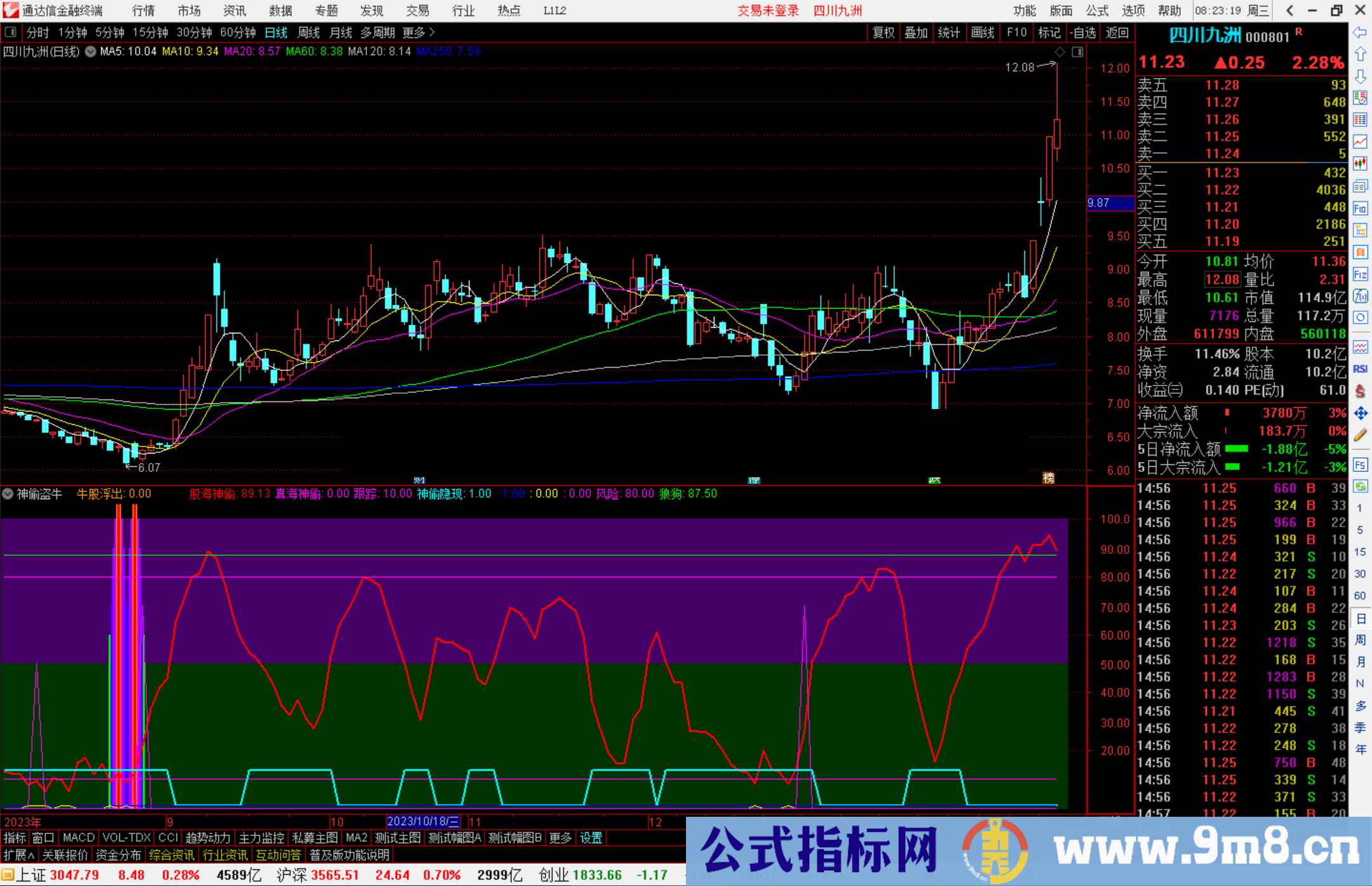 通达信神偷盗牛指标公式源码副图