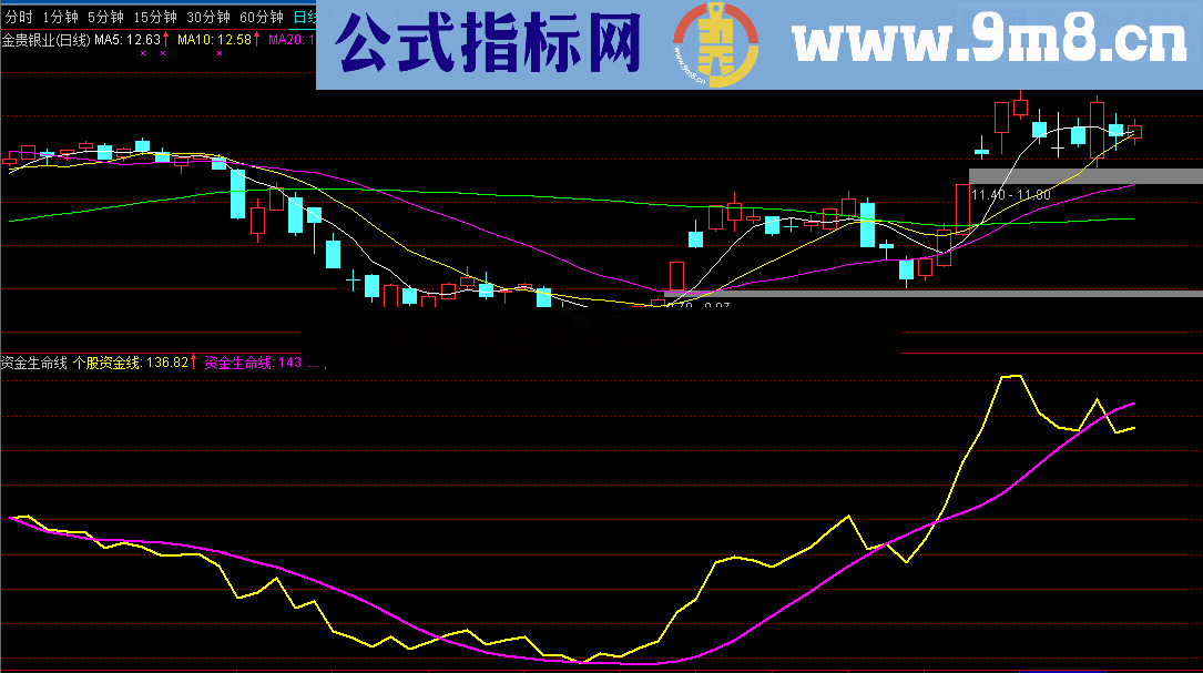 双龙资金生命线（指标 副图 通达信）无未来