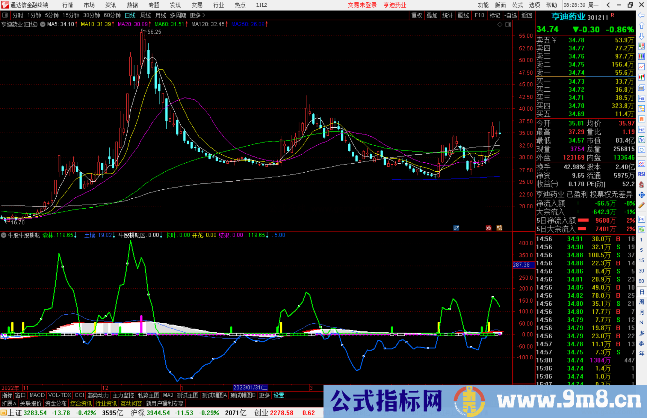 通达信牛股牛股耕耘区副图指标公式源码