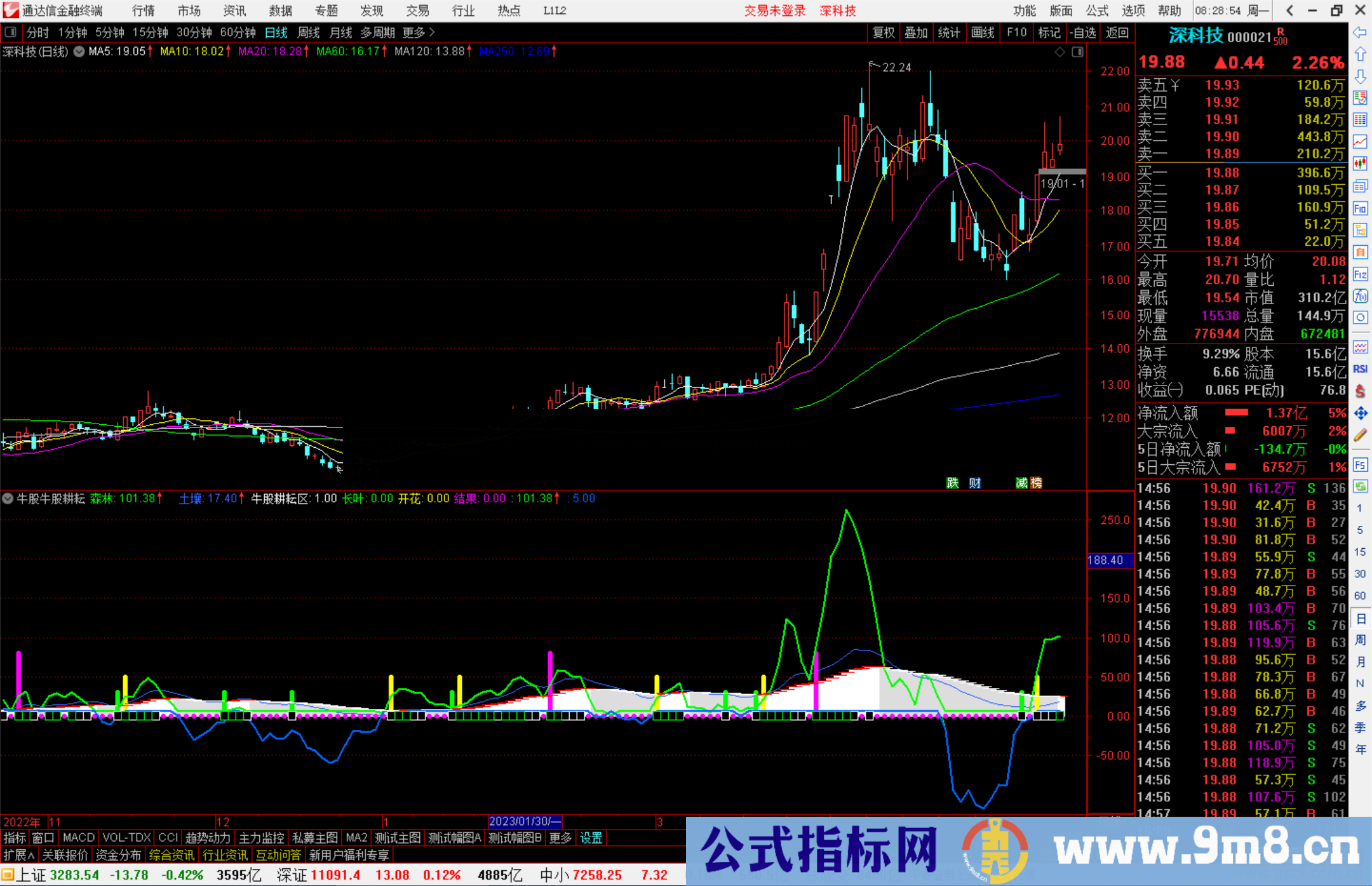 通达信牛股牛股耕耘区副图指标公式源码