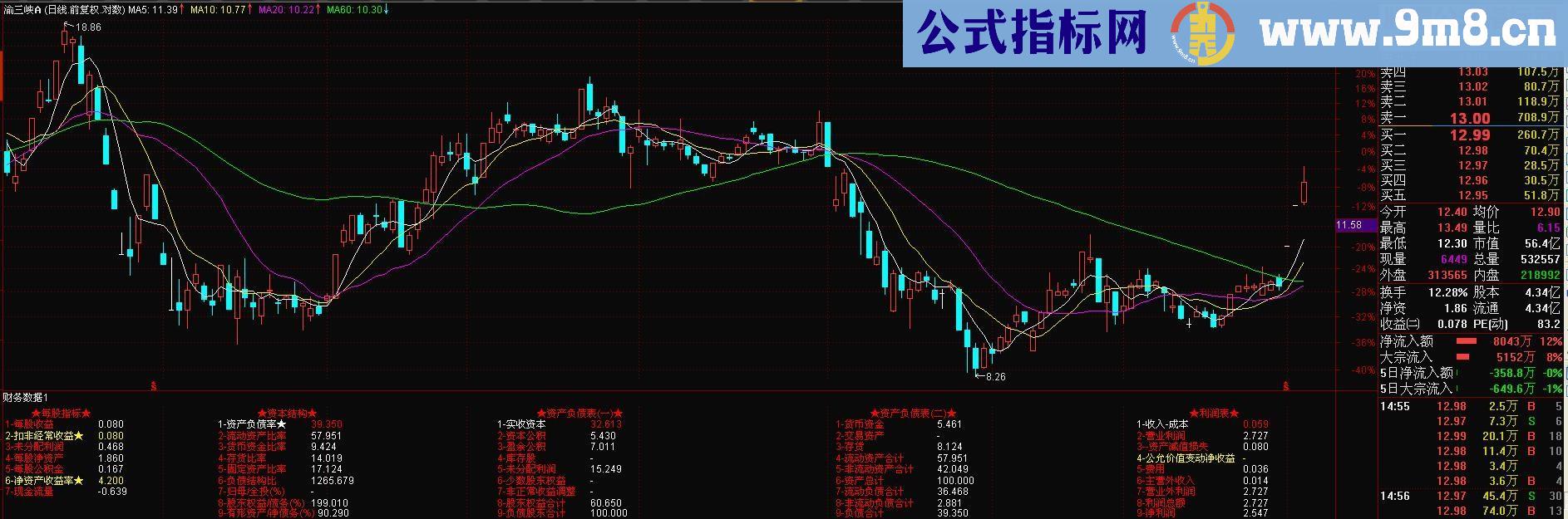 通达信专业财务数据公式（源码 副图 贴图）