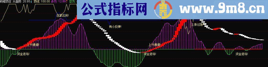 通达信蚂蝗顶庄副图源码 贴图(蚂蝗盯庄)