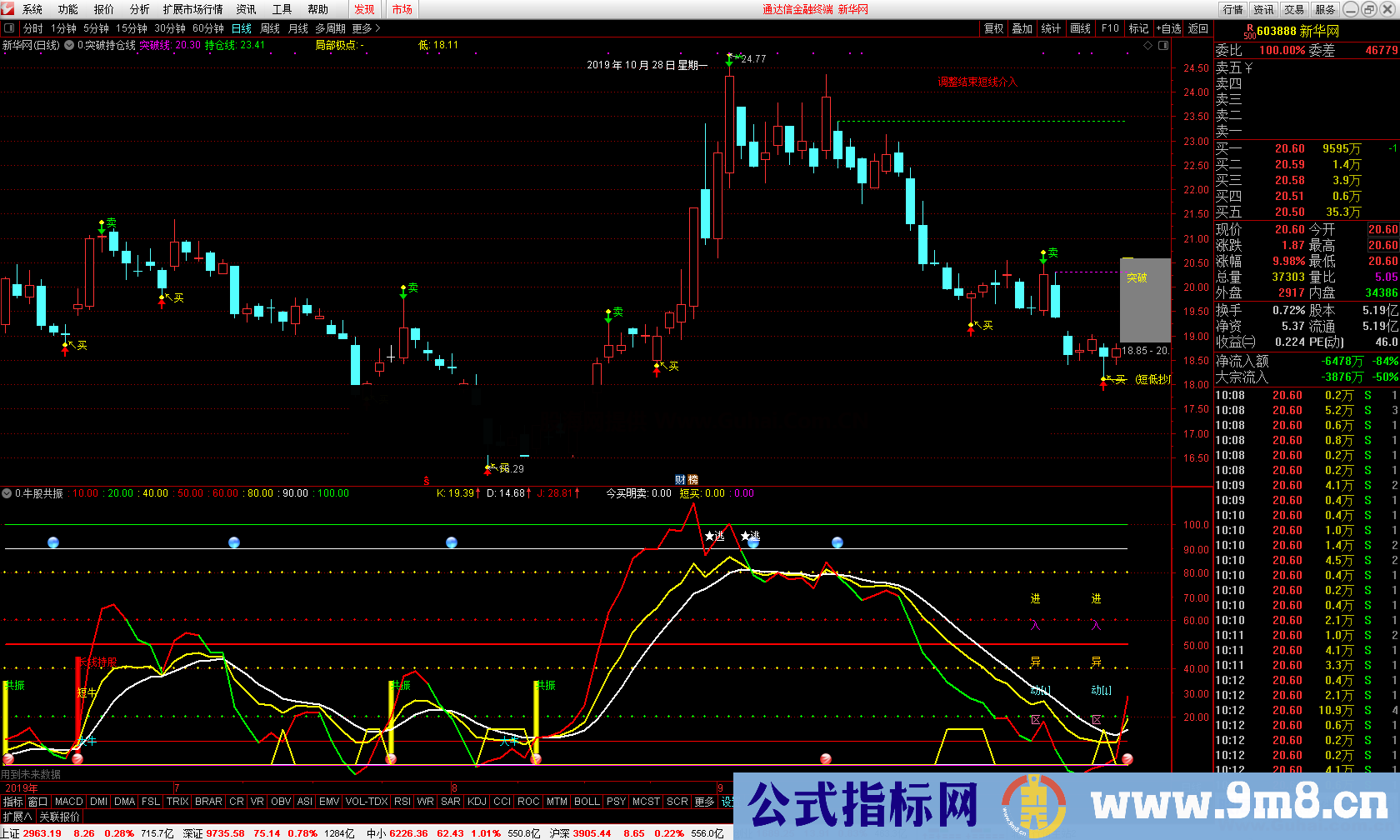 牛股共振（指标 副图 通达信）