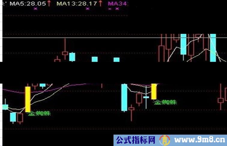 发一个主图'金蜘蛛'无未来