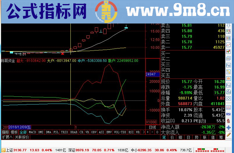 大资金进出