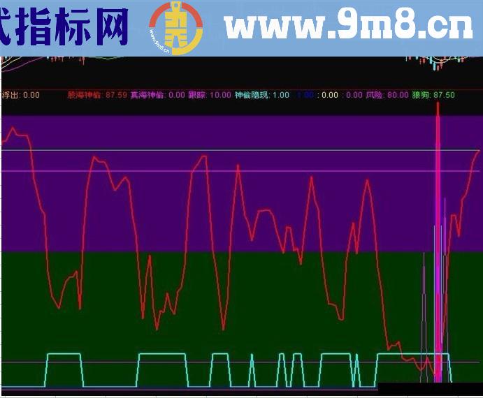 【股海神偷】无未来【副图】