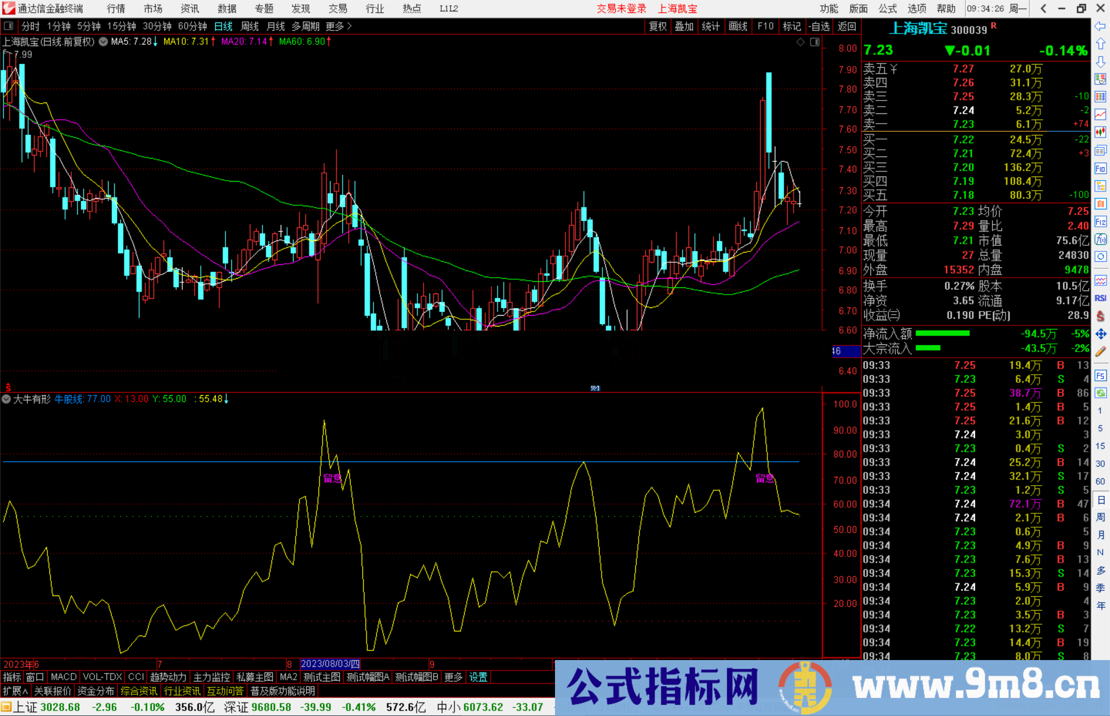 通达信大牛有形指标公式源码副图