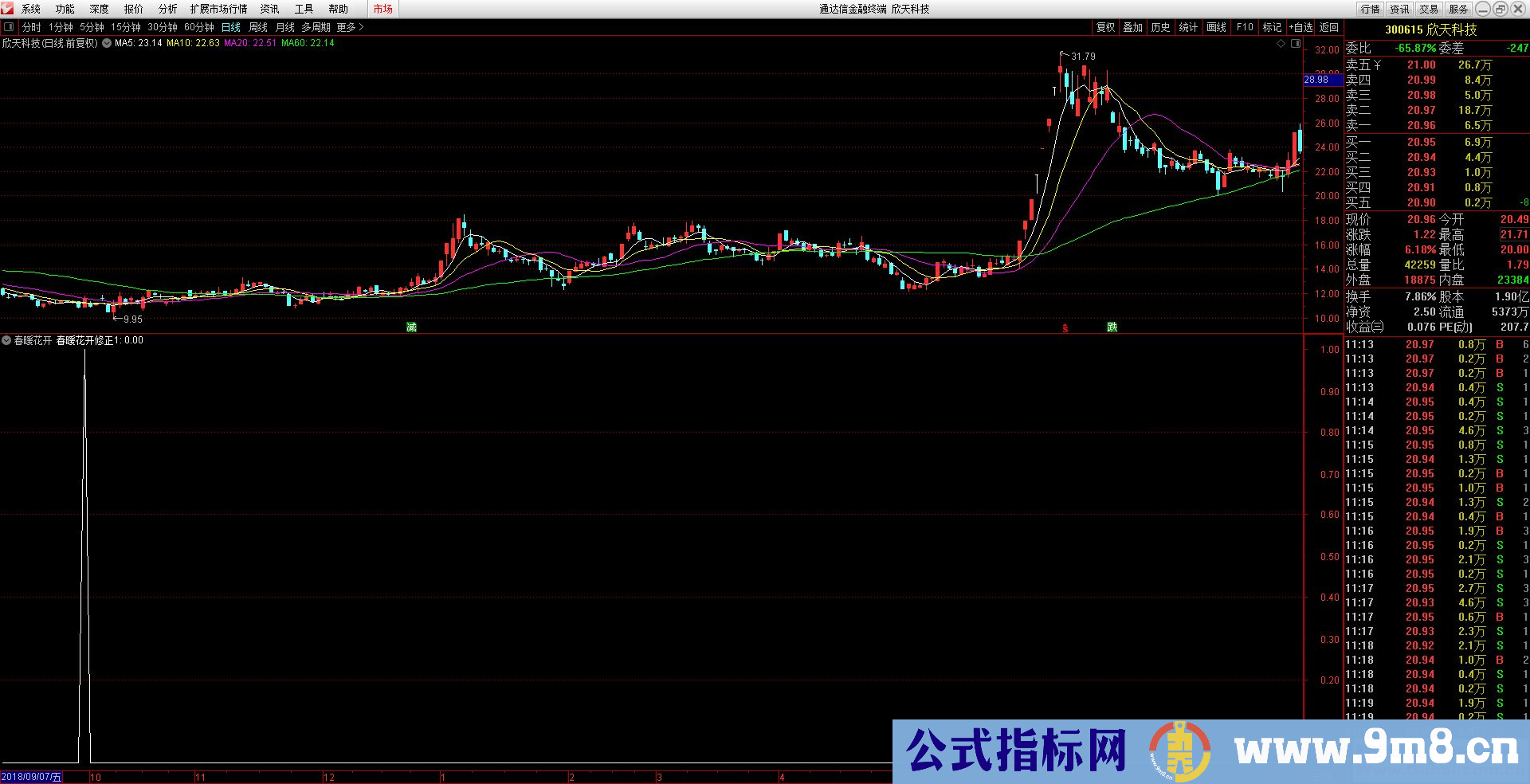 通达信春暖花开副图指标贴图 无加密 不漂移