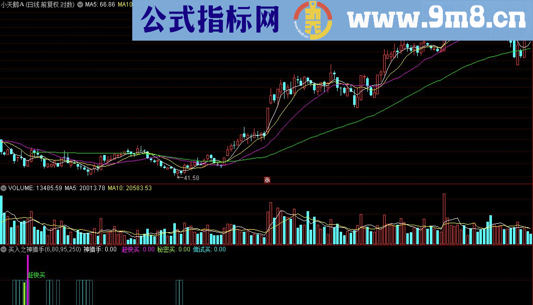 通达信底部买入之神猎手副图源码