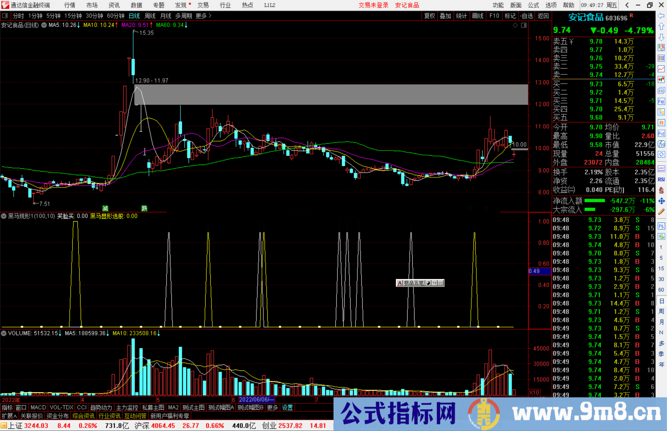 通达信 黑马现形指标公式源码副图