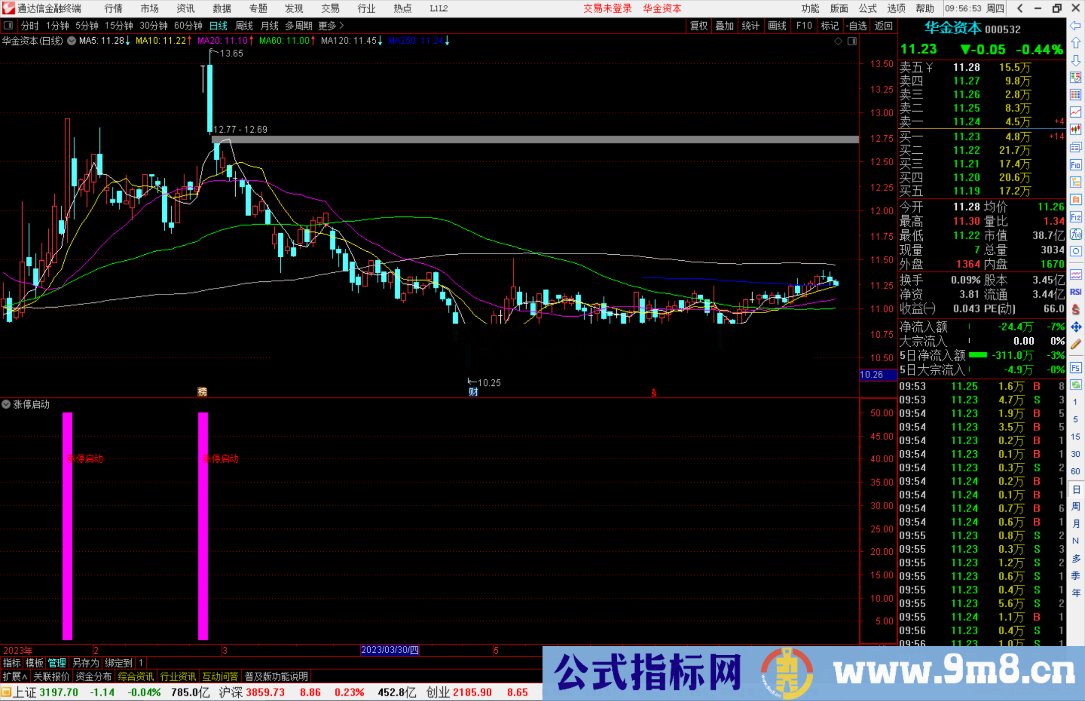 通达信涨停启动指标公式源码副图