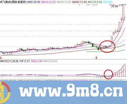 顶级投资者惯用周线抓涨停,回回都赚翻,散户一定要学会