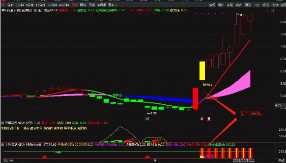 主升浪指标套装 捕捉主升浪启动时机源码无未来附图