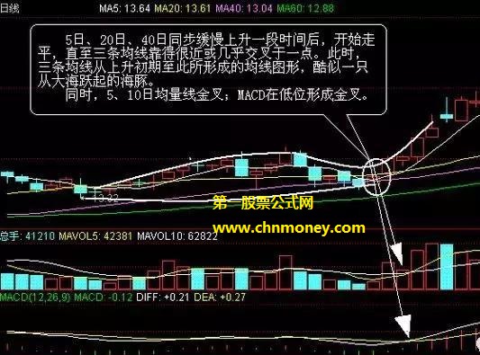 如何运用海豚张嘴形态捕捉牛股