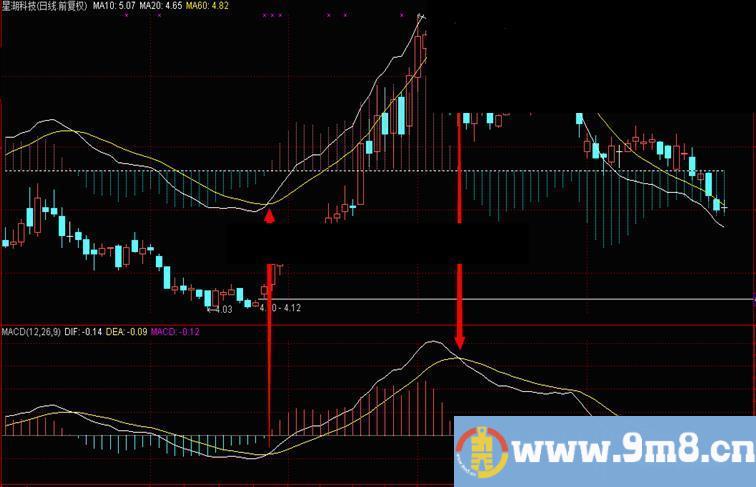 成功将macd融入分时主图
