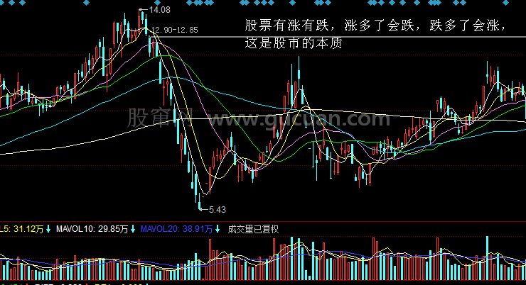 紫鑫药业