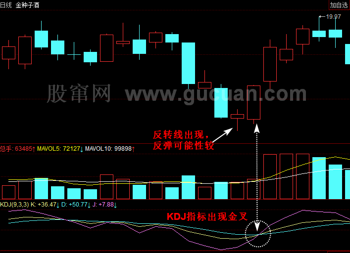 金种子酒日线图