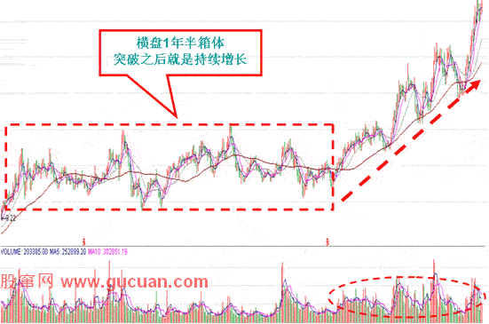 黑马股怎么选，黑马股有哪些的特征