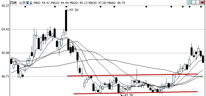 山东黄金日K线图