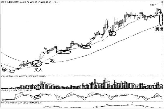翻倍黑马20日均线战法 20日线猎杀翻倍黑马的经典战例