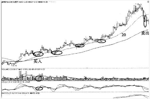翻倍黑马20日均线战法 20日线猎杀翻倍黑马的经典战例