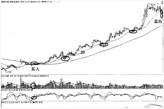翻倍黑马20日均线战法 20日线猎杀翻倍黑马的经典战例