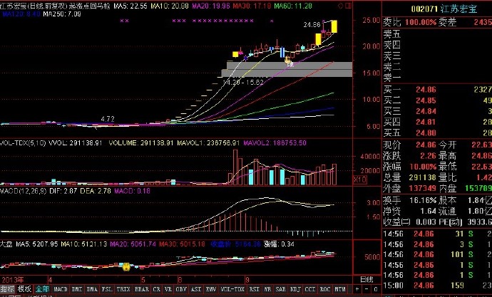 最安全、获利最丰的战法——强势股回调战法